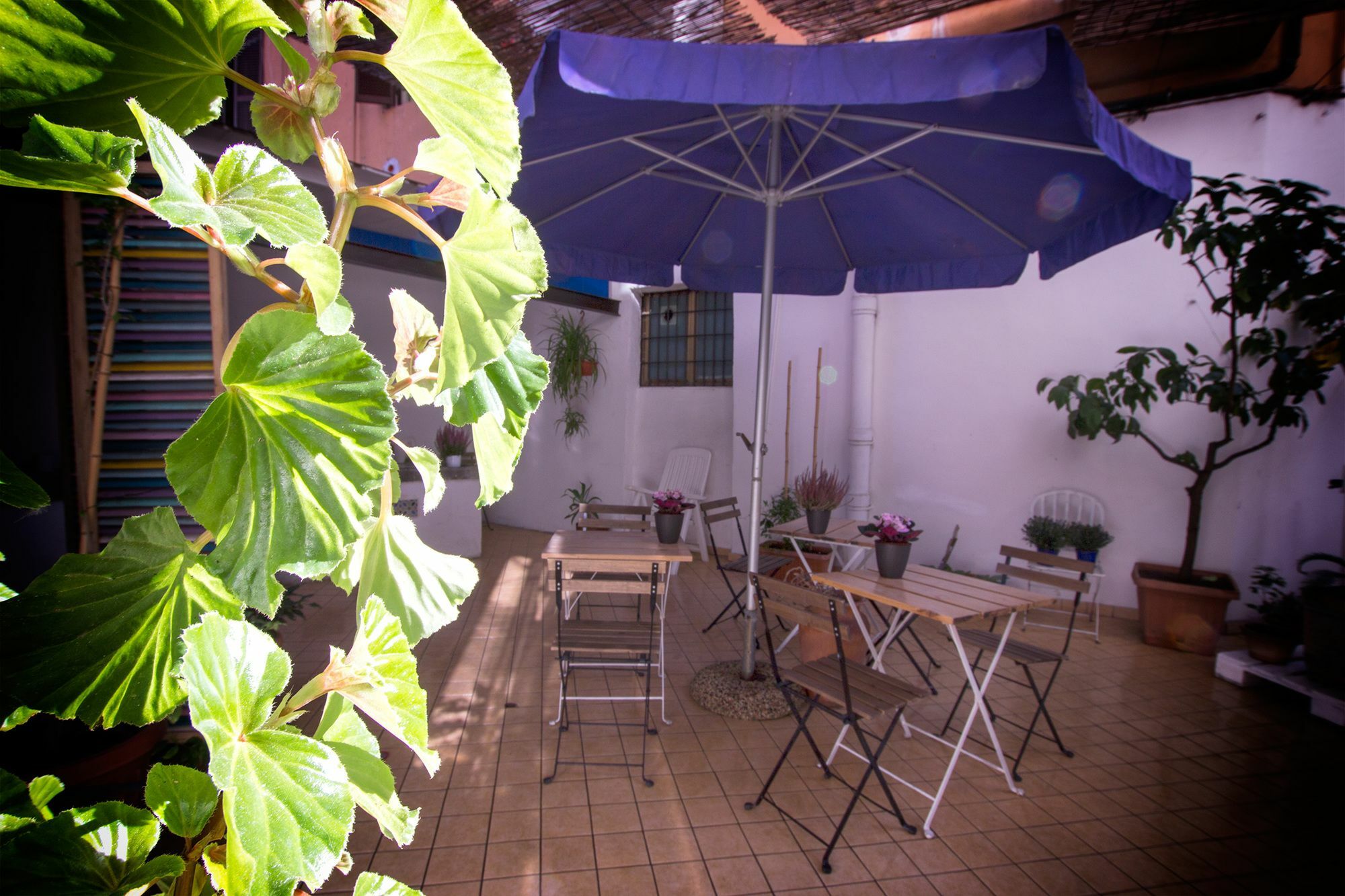 Casa Maplink Hotel Rome Luaran gambar